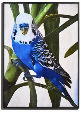 electric art collective